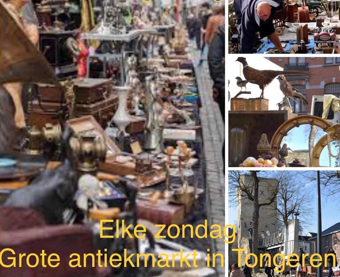 Vakantiehuisje Vds Tongeren Bagian luar foto