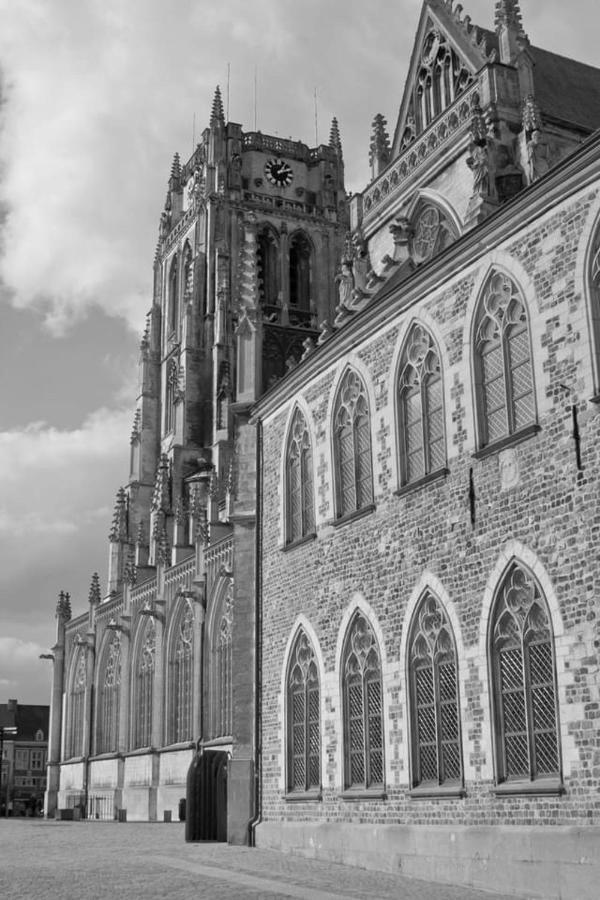 Vakantiehuisje Vds Tongeren Bagian luar foto